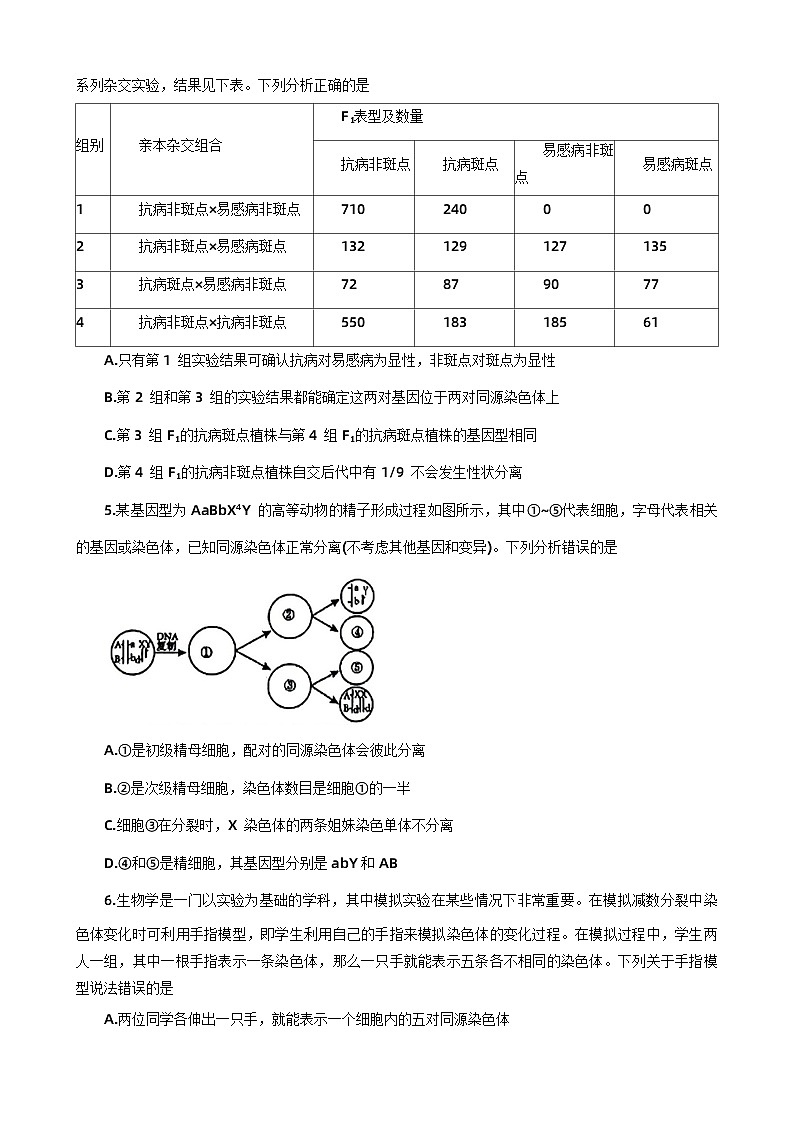 河南省洛阳市2023-2024学年高一下学期期中考试生物试题第2页