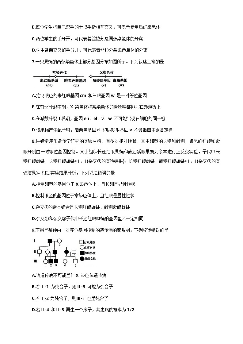 河南省洛阳市2023-2024学年高一下学期期中考试生物试题第3页