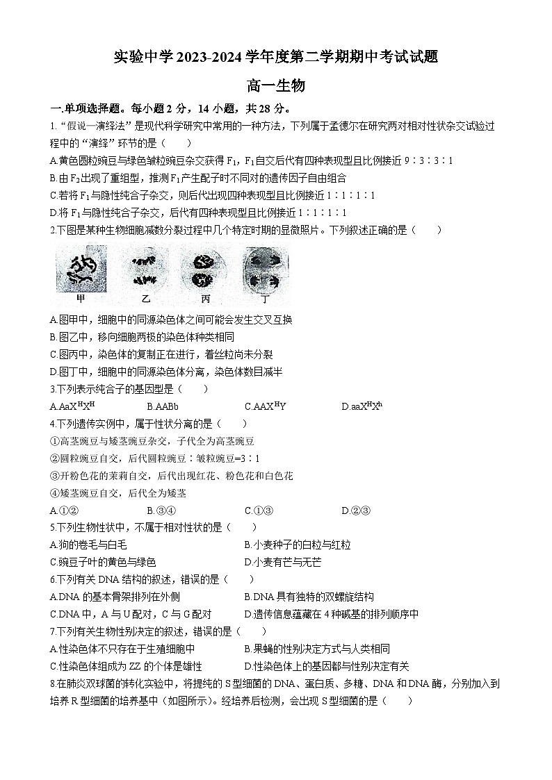 江苏省南通市海安市实验中学2023-2024学年高一下学期4月期中考试生物试题(无答案)第1页