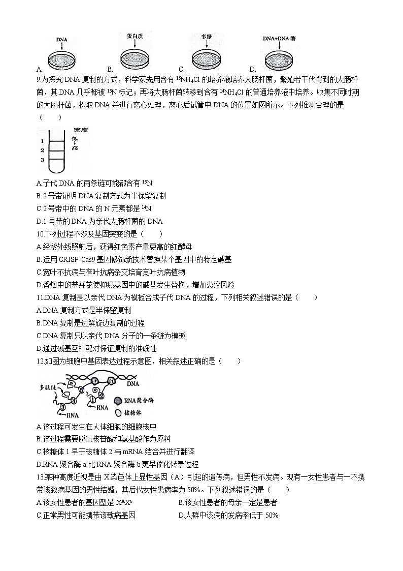 江苏省南通市海安市实验中学2023-2024学年高一下学期4月期中考试生物试题(无答案)第2页
