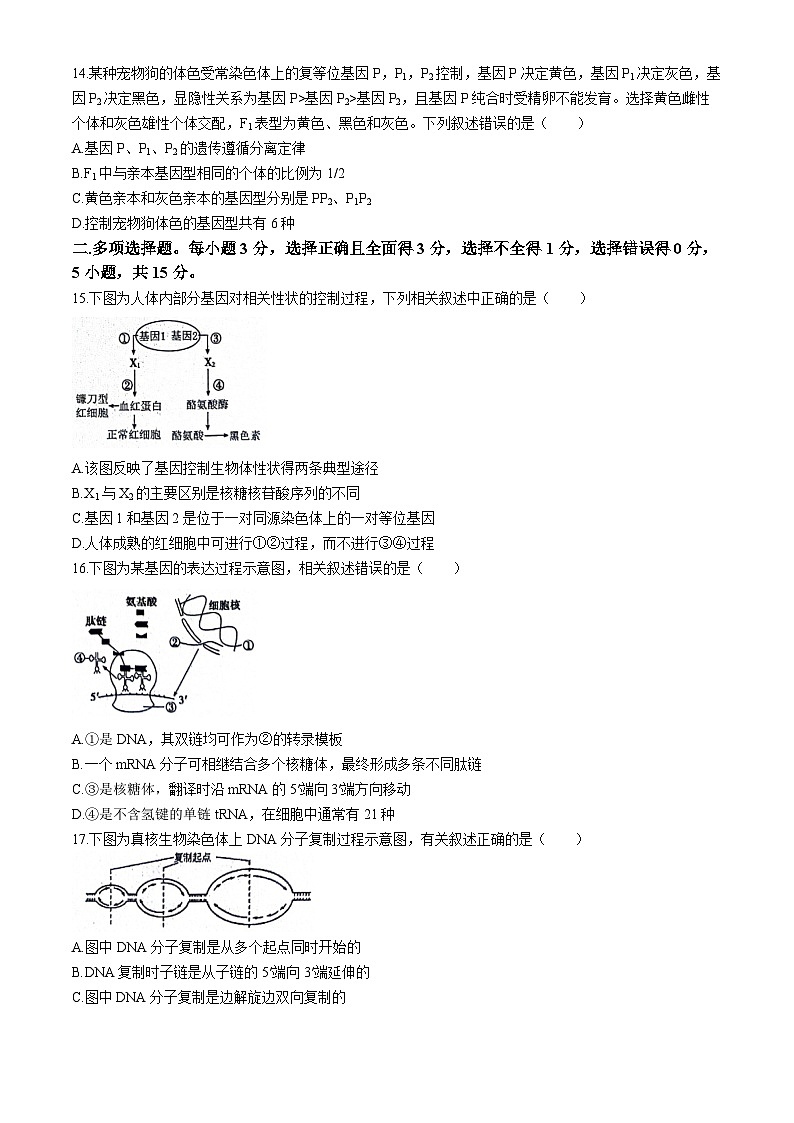 江苏省南通市海安市实验中学2023-2024学年高一下学期4月期中考试生物试题(无答案)第3页