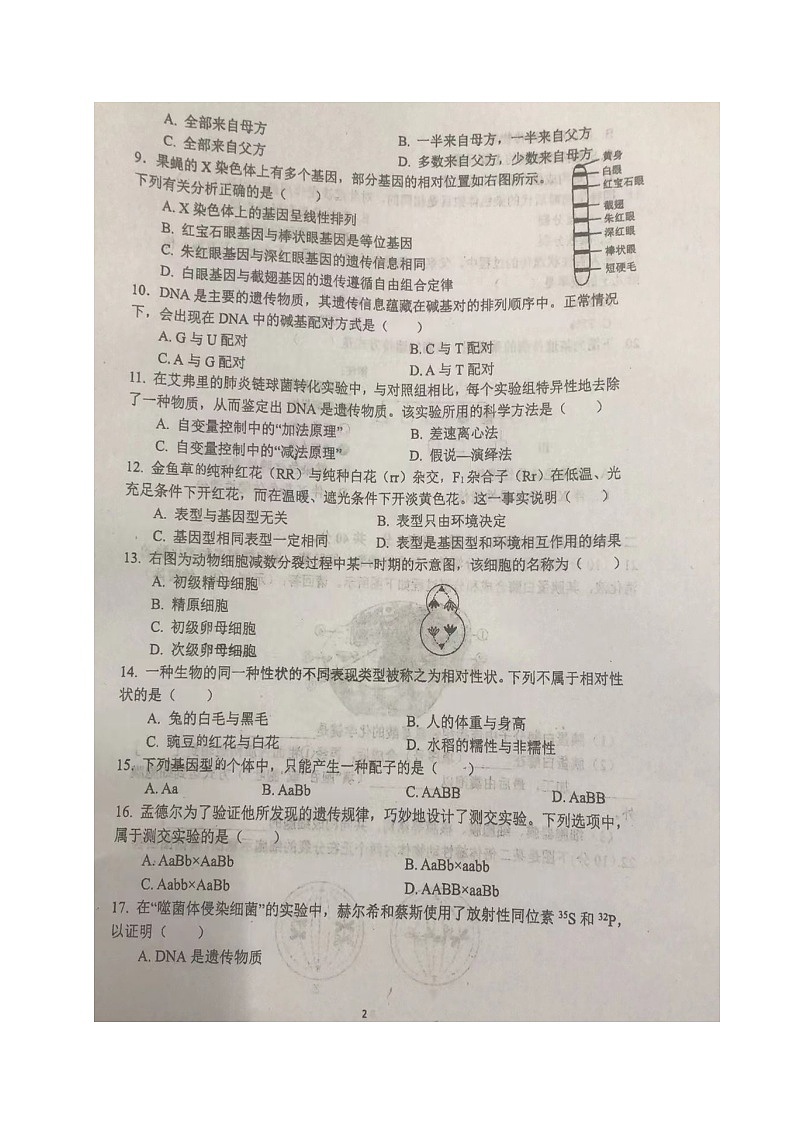 四川省南充市西充中学2023-2024学年高一下学期期中考试生物试题（合格考）第2页