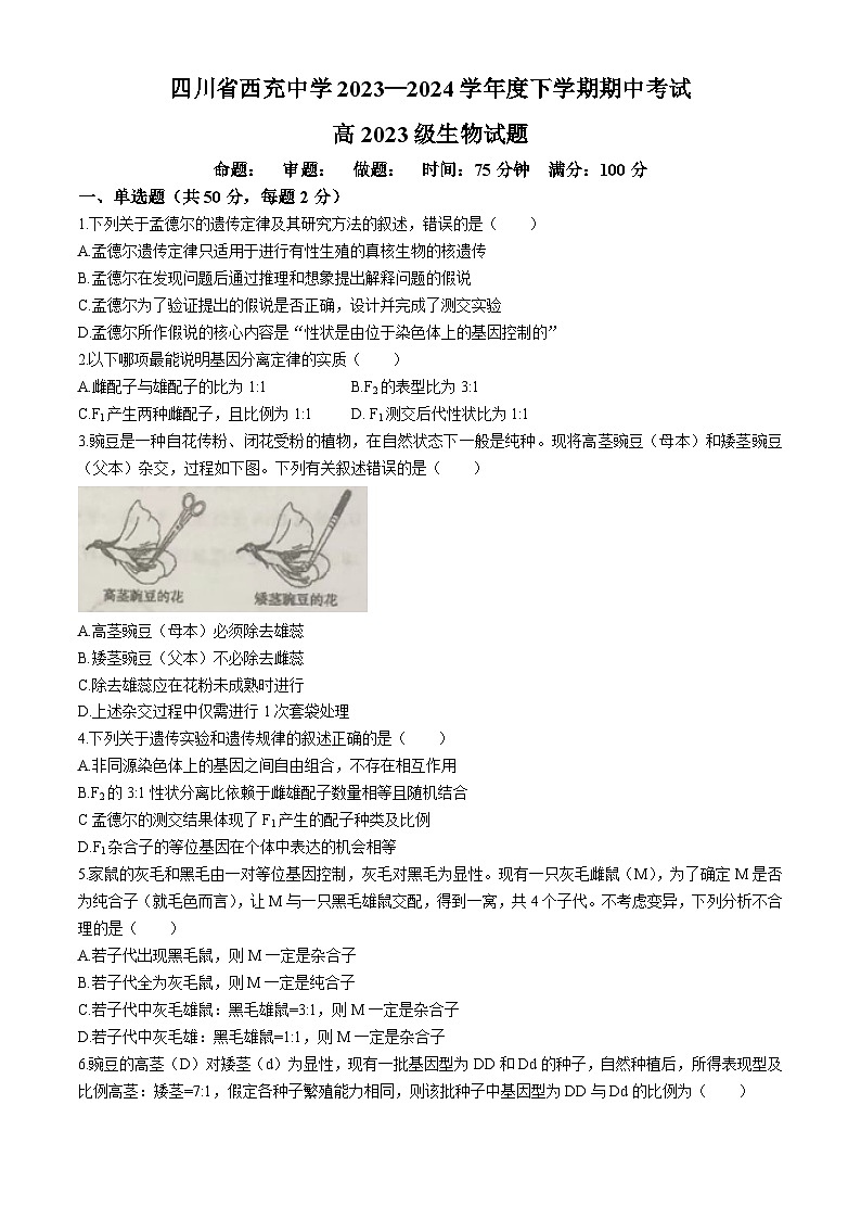 四川省南充市西充中学2023-2024学年高一下学期期中考试生物试题(无答案)01