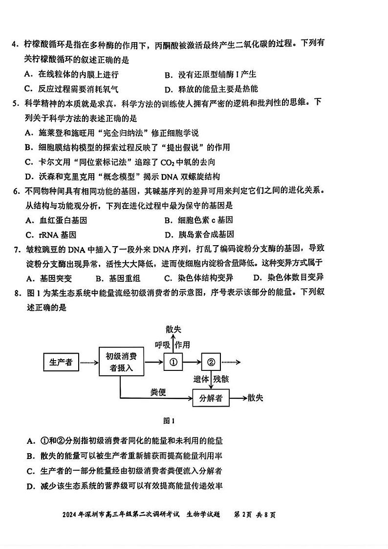2024届广东省深圳市高三年级第二次调研考试生物02