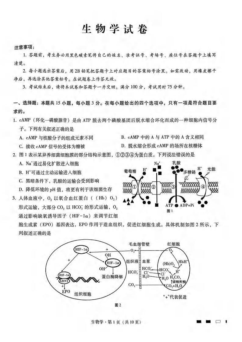 重庆市南岸区部分学校2024届高三下学期4月联合测试卷生物试题第1页