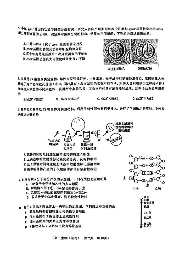 北京市第八十中学2023—2024学年高一下学期期中考试（选考）生物试题02
