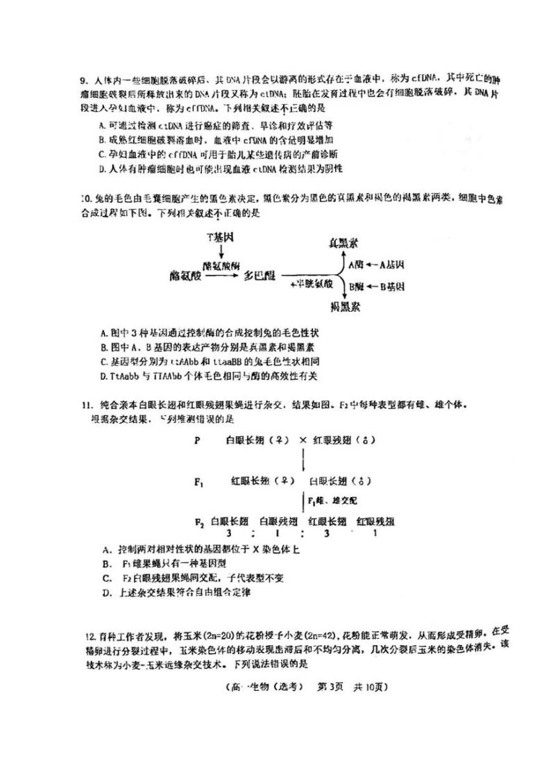 北京市第八十中学2023—2024学年高一下学期期中考试（选考）生物试题03