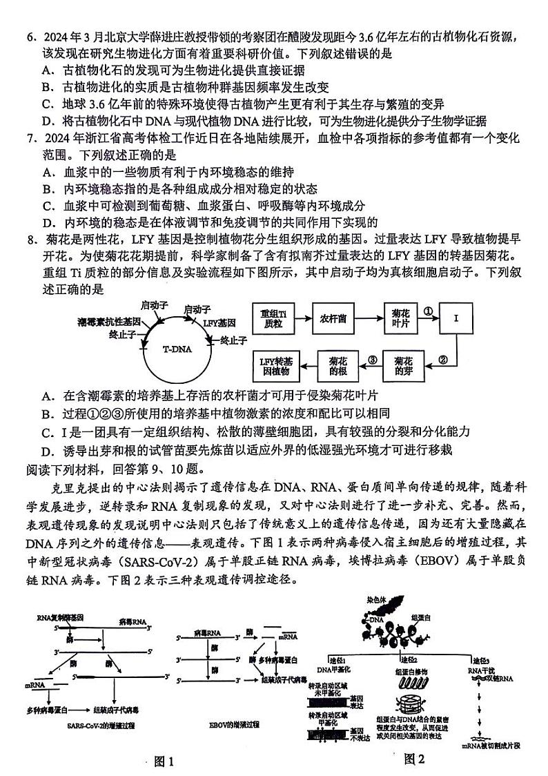 浙江省稽阳联谊学校2024届高三下学期4月联考二模生物试题+02