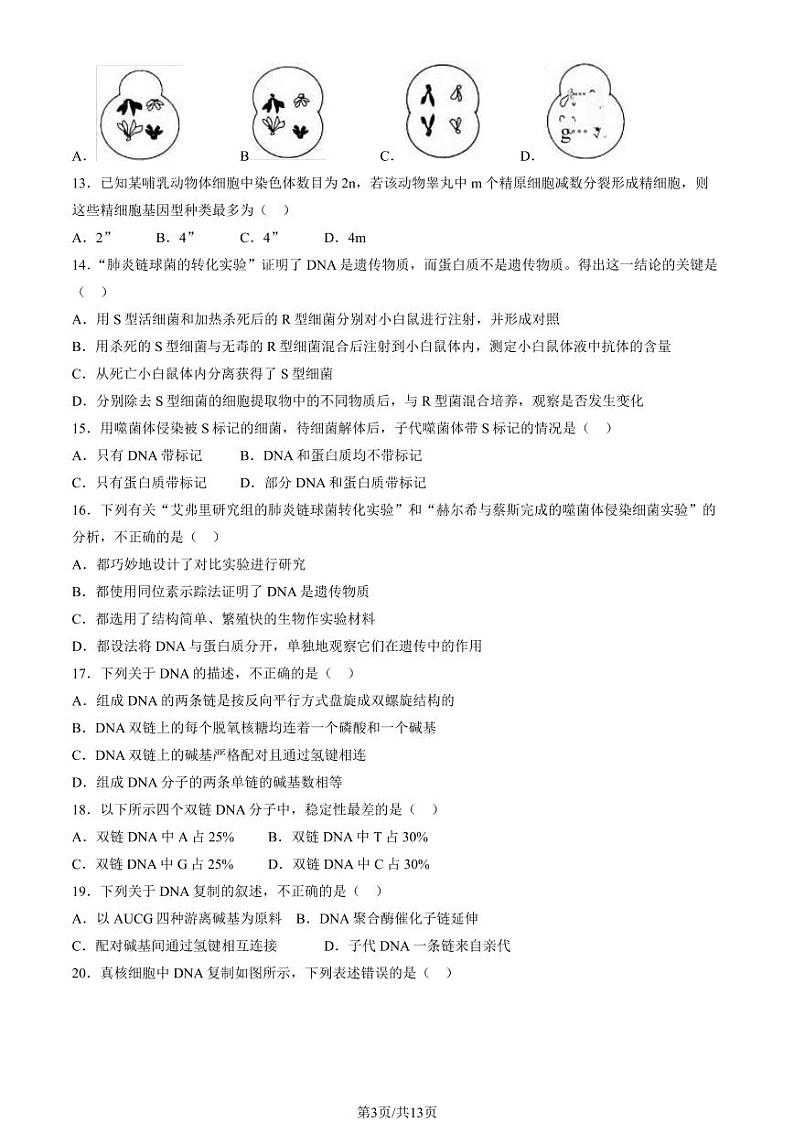 2024北京一零一中高一（下）期中生物试题及答案第3页