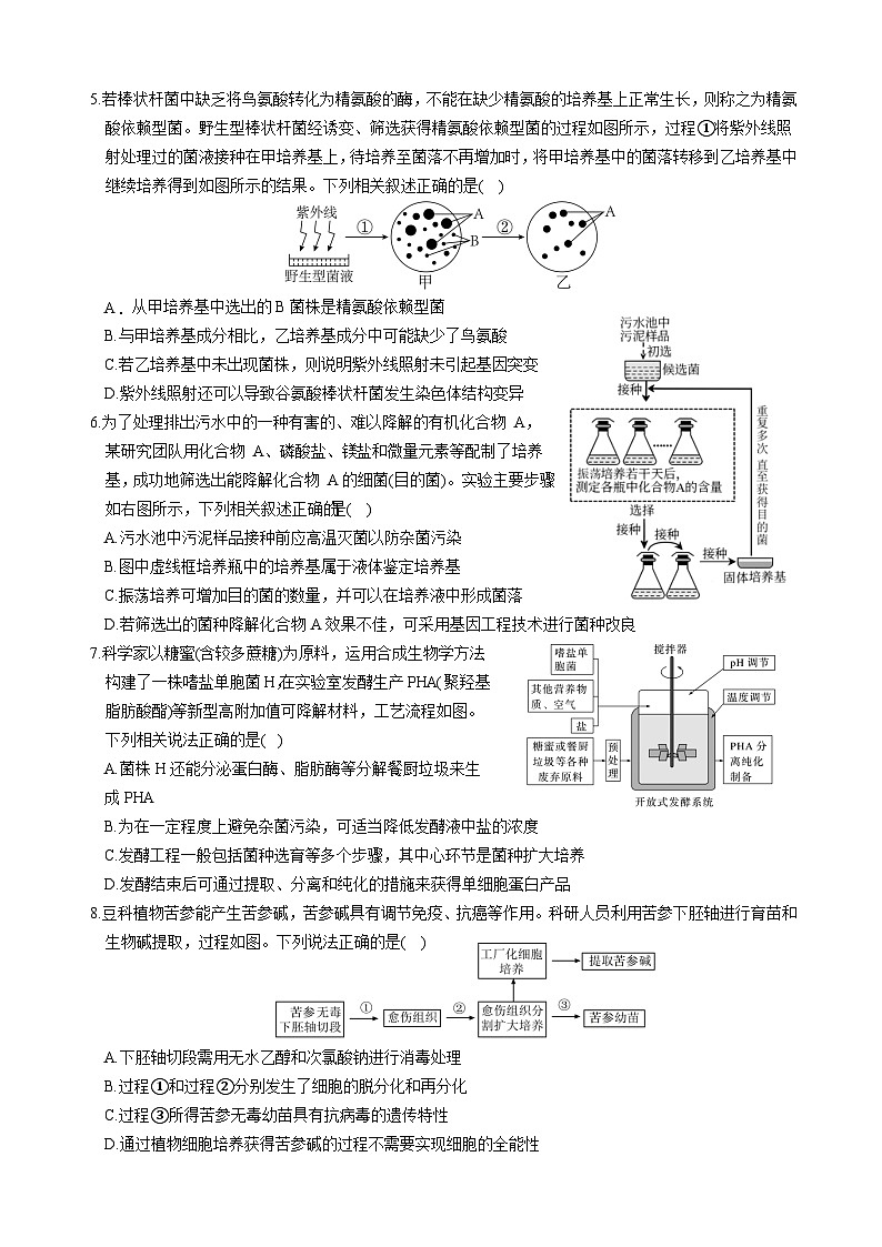 2024绵阳南山中学高二下学期期中考试生物含答案02