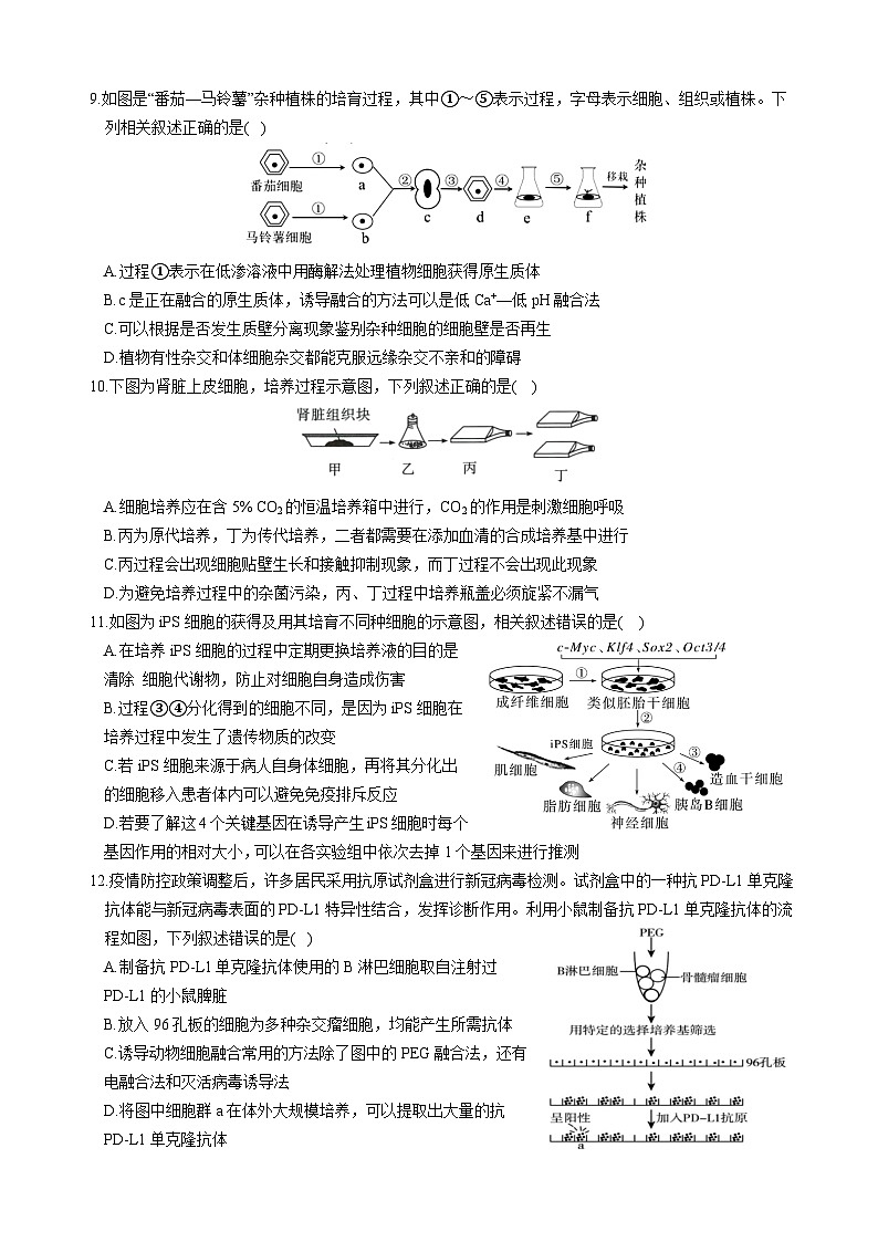 2024绵阳南山中学高二下学期期中考试生物含答案03