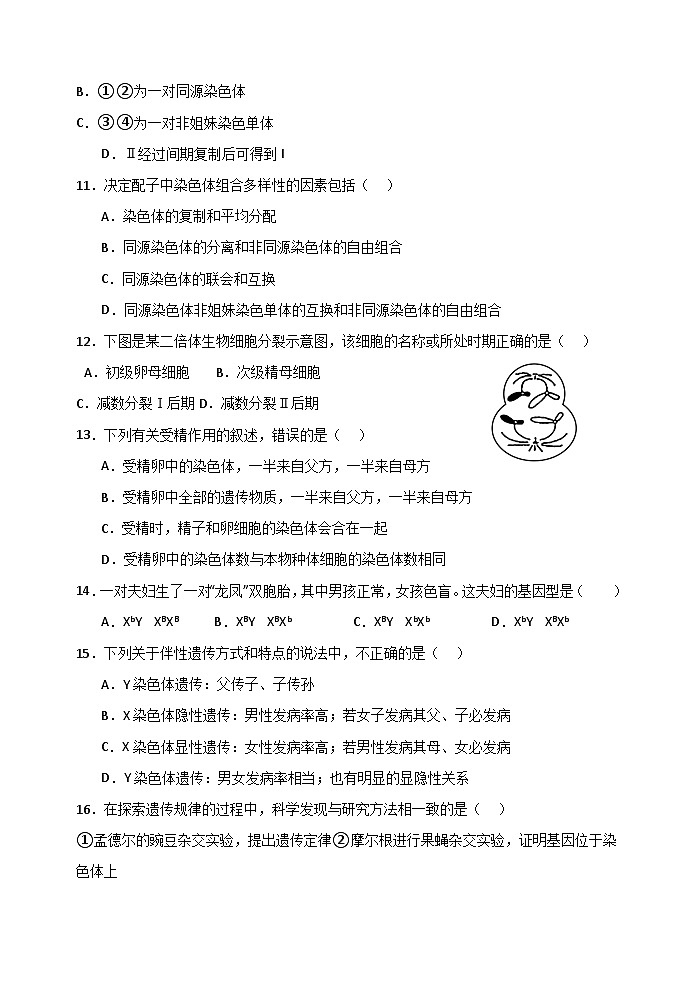 2024衡水武强中学高一下学期期中考试生物含答案03