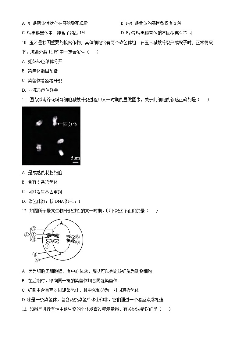 安徽省合肥市庐巢联盟2023-2024学年高一下学期第一次联考生物试题无答案第3页