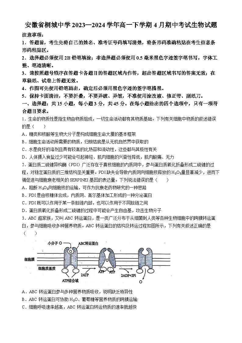 安徽省桐城中学2023-2024学年高一下学期4月期中考试生物试题01