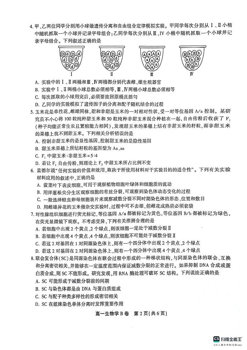 安徽省桐城中学2023-2024学年高一下学期4月期中考试生物试题第2页