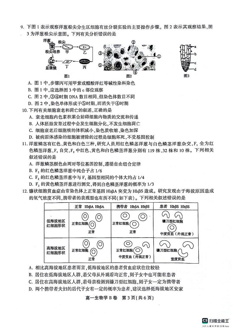 安徽省桐城中学2023-2024学年高一下学期4月期中考试生物试题第3页