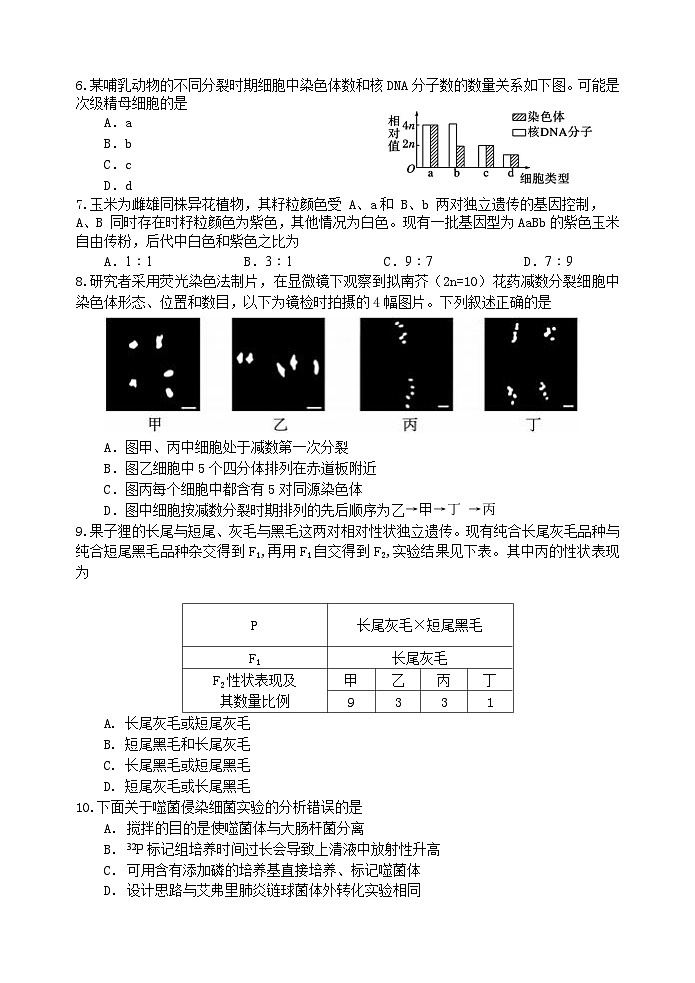 江苏省无锡市江阴市四校联考2023-2024学年高一下学期4月期中生物试题02