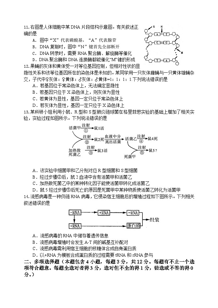 江苏省无锡市江阴市四校联考2023-2024学年高一下学期4月期中生物试题03