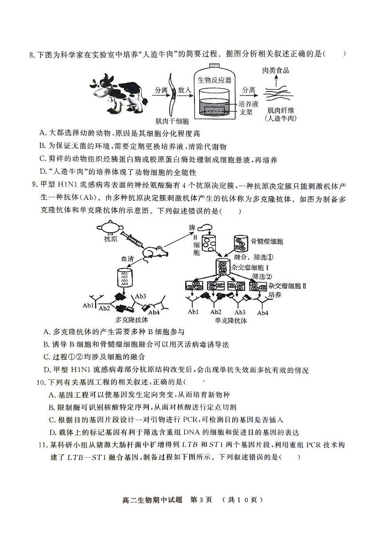 山东省聊城市2023-2024学年高二下学期4月期中生物试题第3页