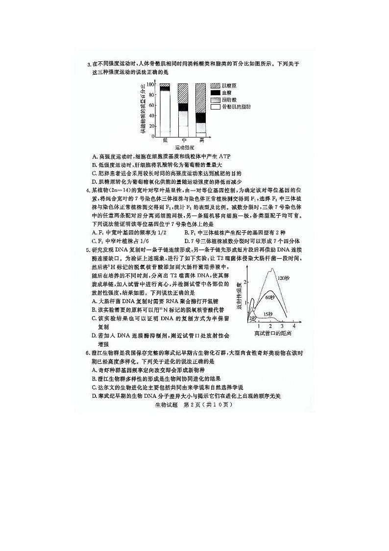 山东济宁市2024 年高考模拟考试生物试题+答案（4.26济宁二模）02