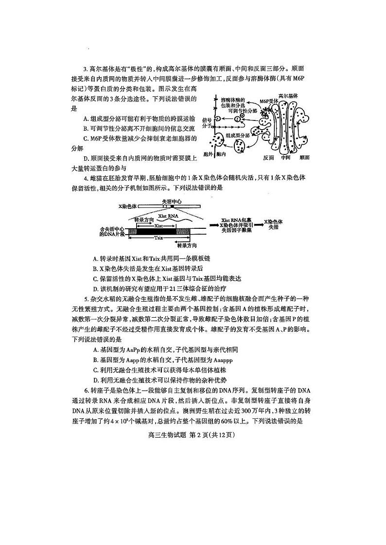 2024届山东省泰安市高三二轮检测生物试题+答案（4.26泰安二模）02