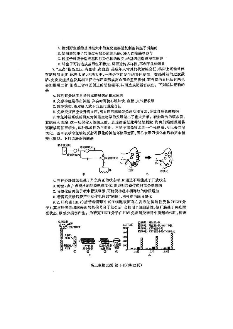 2024届山东省泰安市高三二轮检测生物试题+答案（4.26泰安二模）03