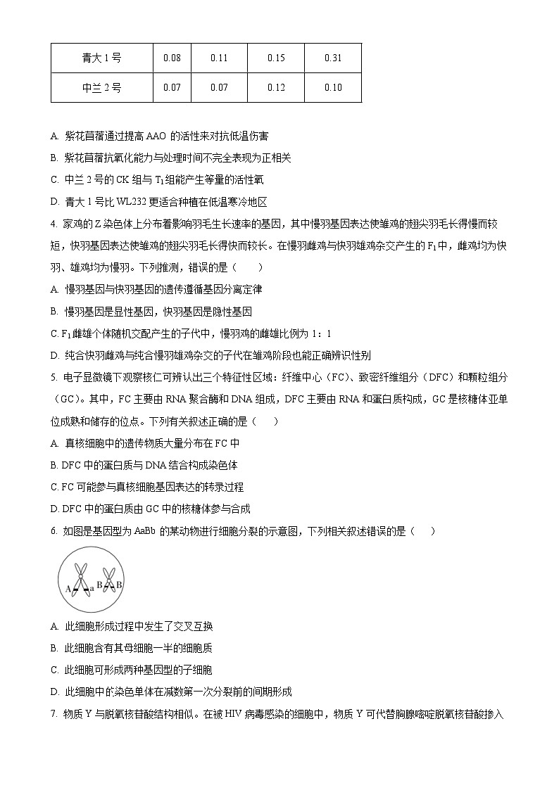 河南省郑州市宇华实验学校2024届高三下学期第三次模拟考试生物试题（Word版附解析）02