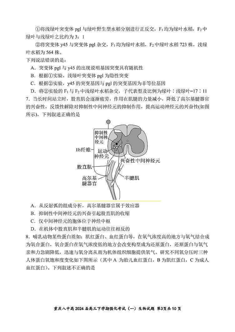 重庆市第八中学2024届高三下学期强化训练（一）生物试题（PDF版附解析）第3页