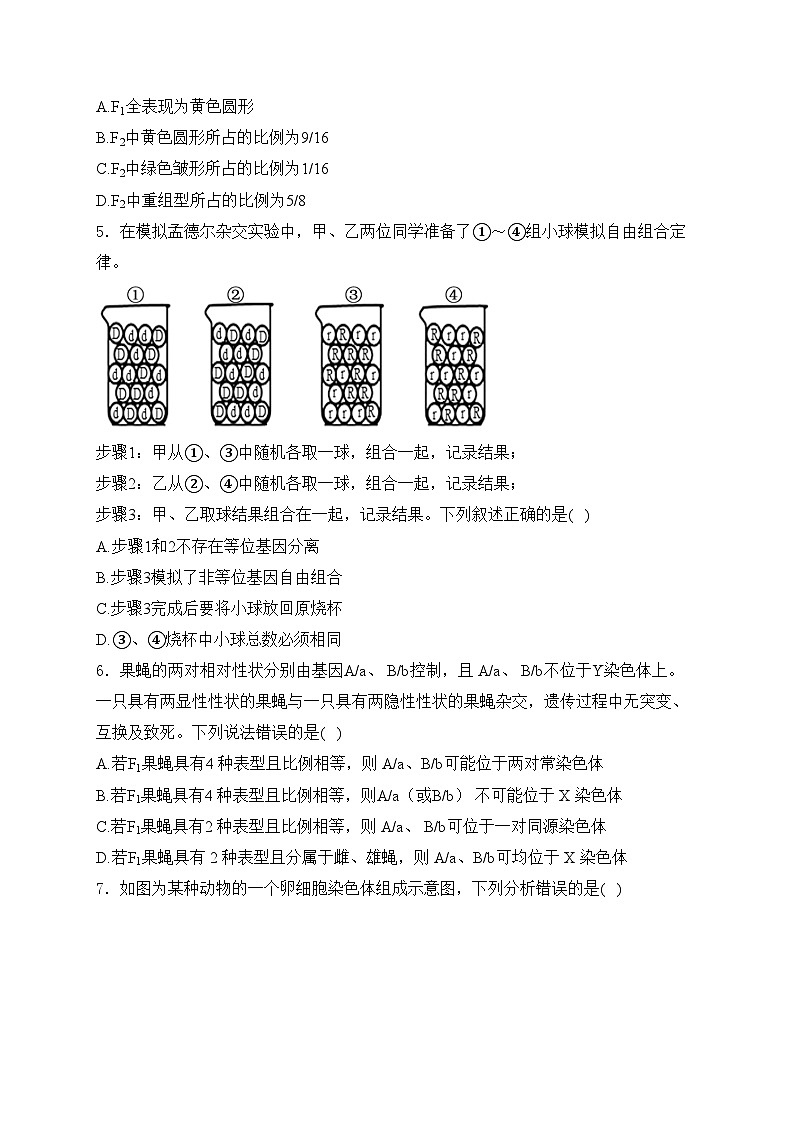 梅河口市第五中学2023-2024学年高一下学期4月月考生物试卷(含答案)02