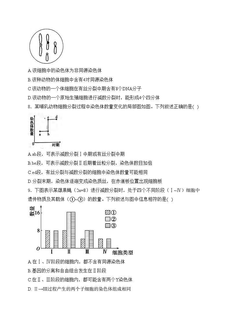 梅河口市第五中学2023-2024学年高一下学期4月月考生物试卷(含答案)03
