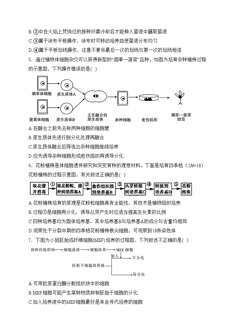内蒙古自治区第二地质中学2023-2024学年高二下学期4月月考生物试卷(含答案)第2页