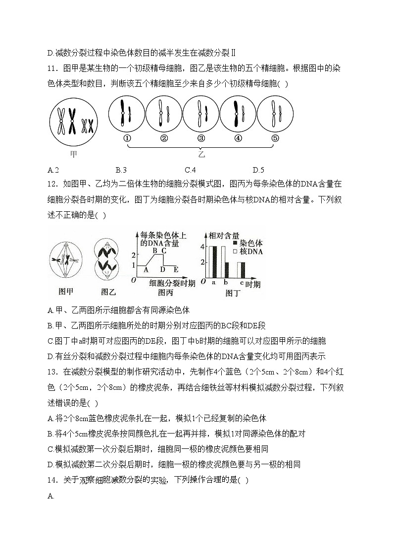 四川省眉山市仁寿县2023-2024学年高一下学期4月期中联考生物试卷(含答案)03
