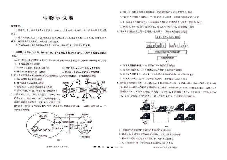 巴蜀中学2024届高考适应性4月月考生物第1页