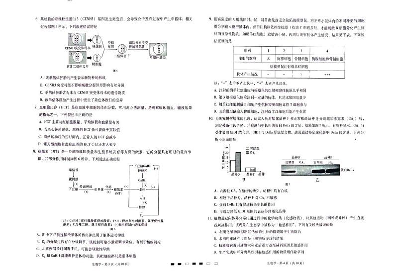 巴蜀中学2024届高考适应性4月月考生物第2页
