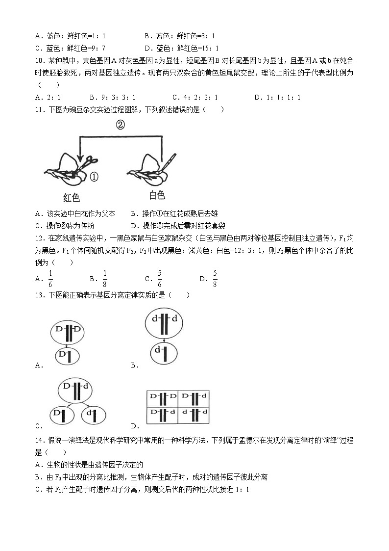 福建省福州市鼓楼区福建省福州第一中学2023-2024学年高一下学期4月期中生物试题(无答案)第2页