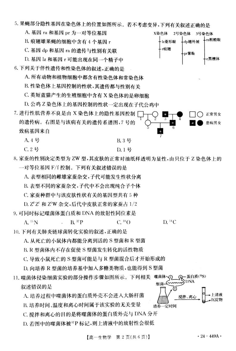 河北省九校联盟2023-2024学年高一下学期期中考试生物试题02