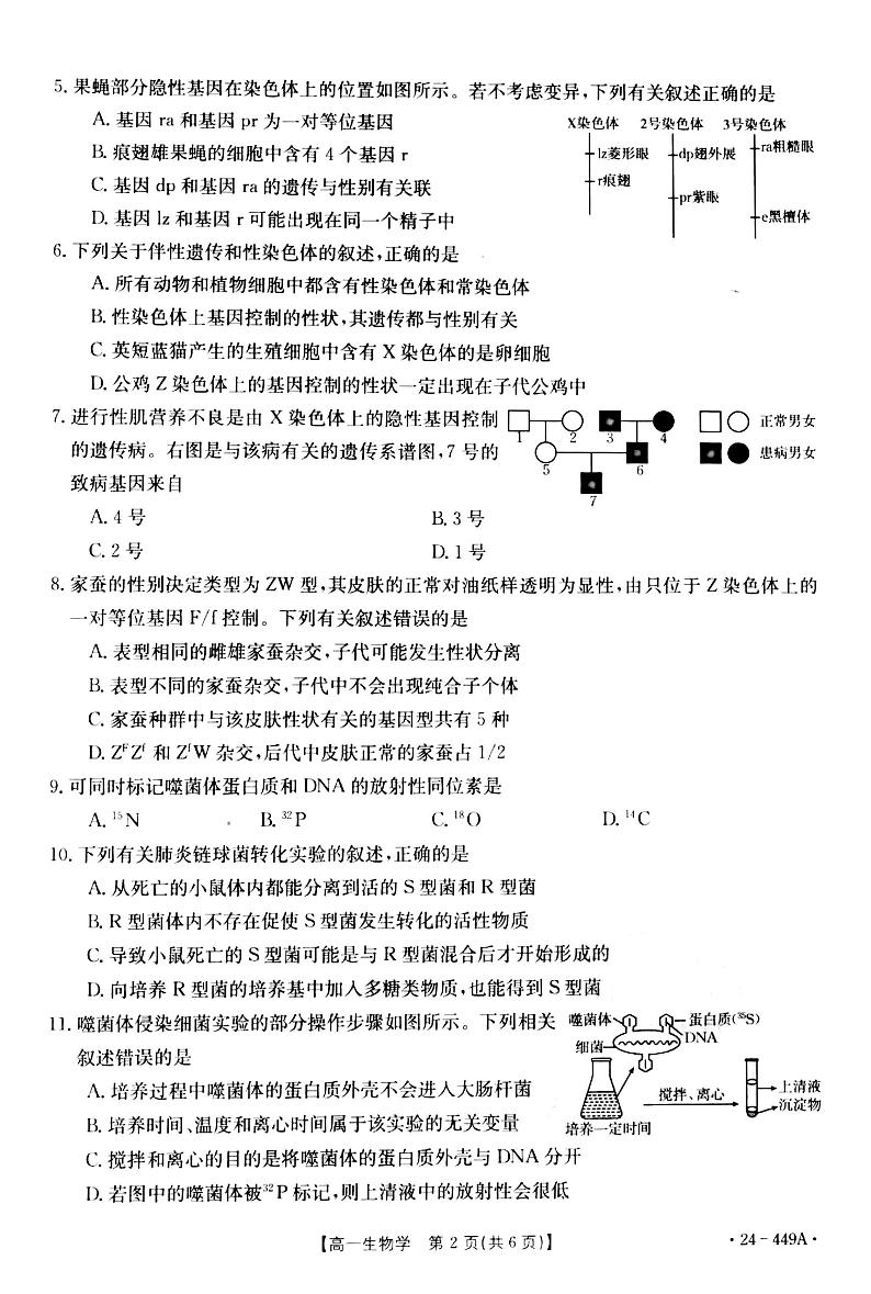 河北省九校联盟2023-2024学年高一年级下学期期中考试生物试题第2页