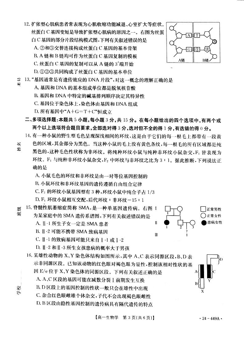 河北省九校联盟2023-2024学年高一年级下学期期中考试生物试题第3页