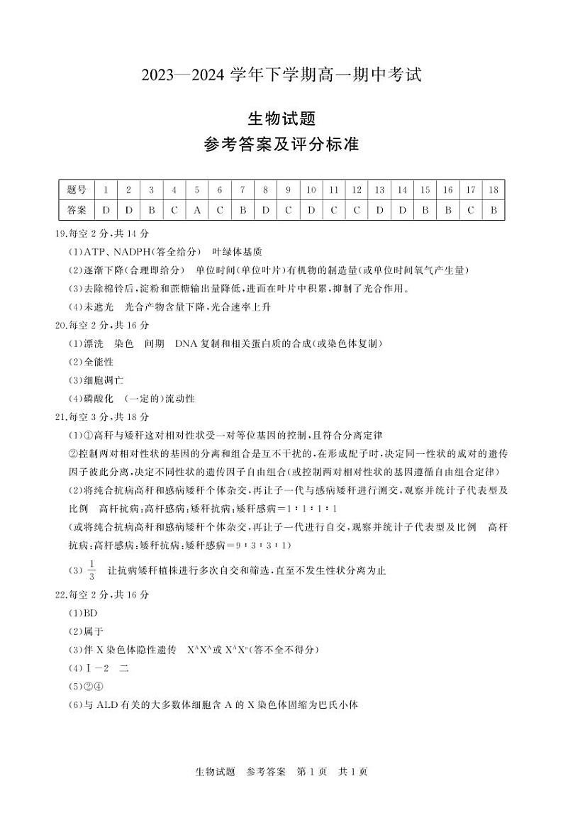 湖北省襄阳市鄂北六校联考2023-2024学年高一下学期4月期中生物试题01
