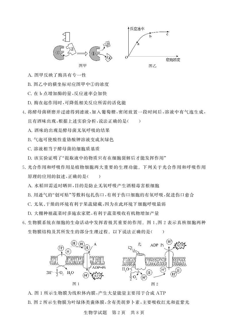 湖北省襄阳市鄂北六校联考2023-2024学年高一下学期4月期中生物试题02