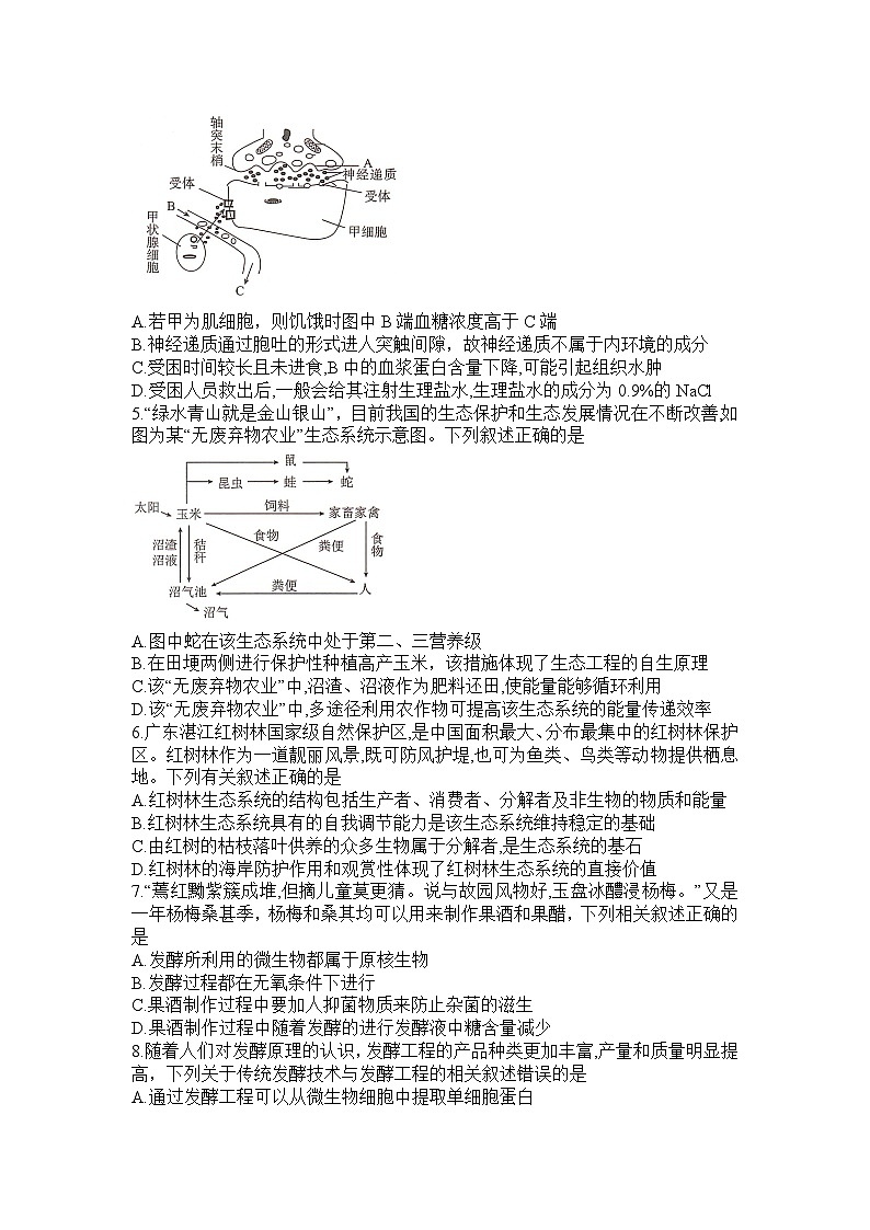 湖南省三湘名校教育联盟2023-2024学年高二下学期4月期中生物试题02