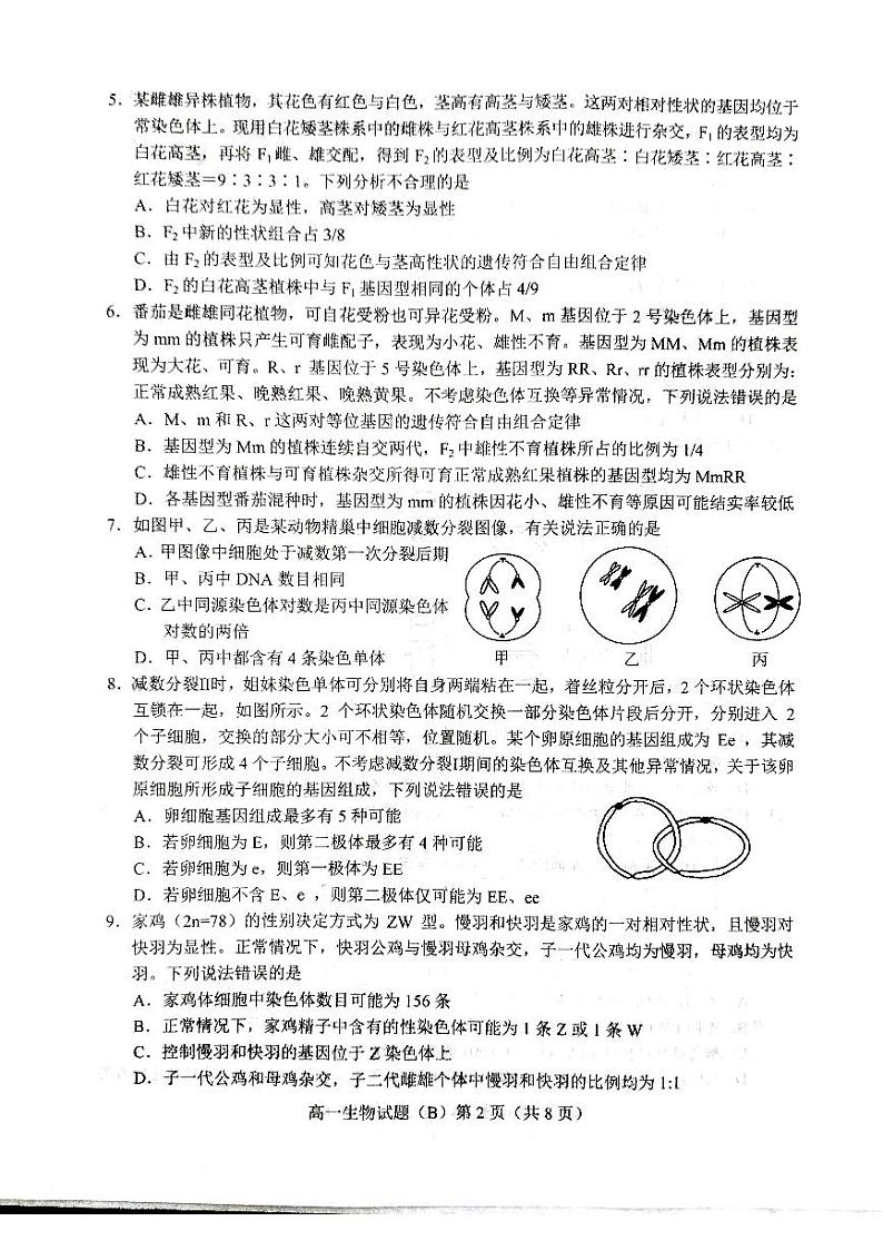 山东省菏泽市2023-2024学年高一下学期4月期中生物试题第2页