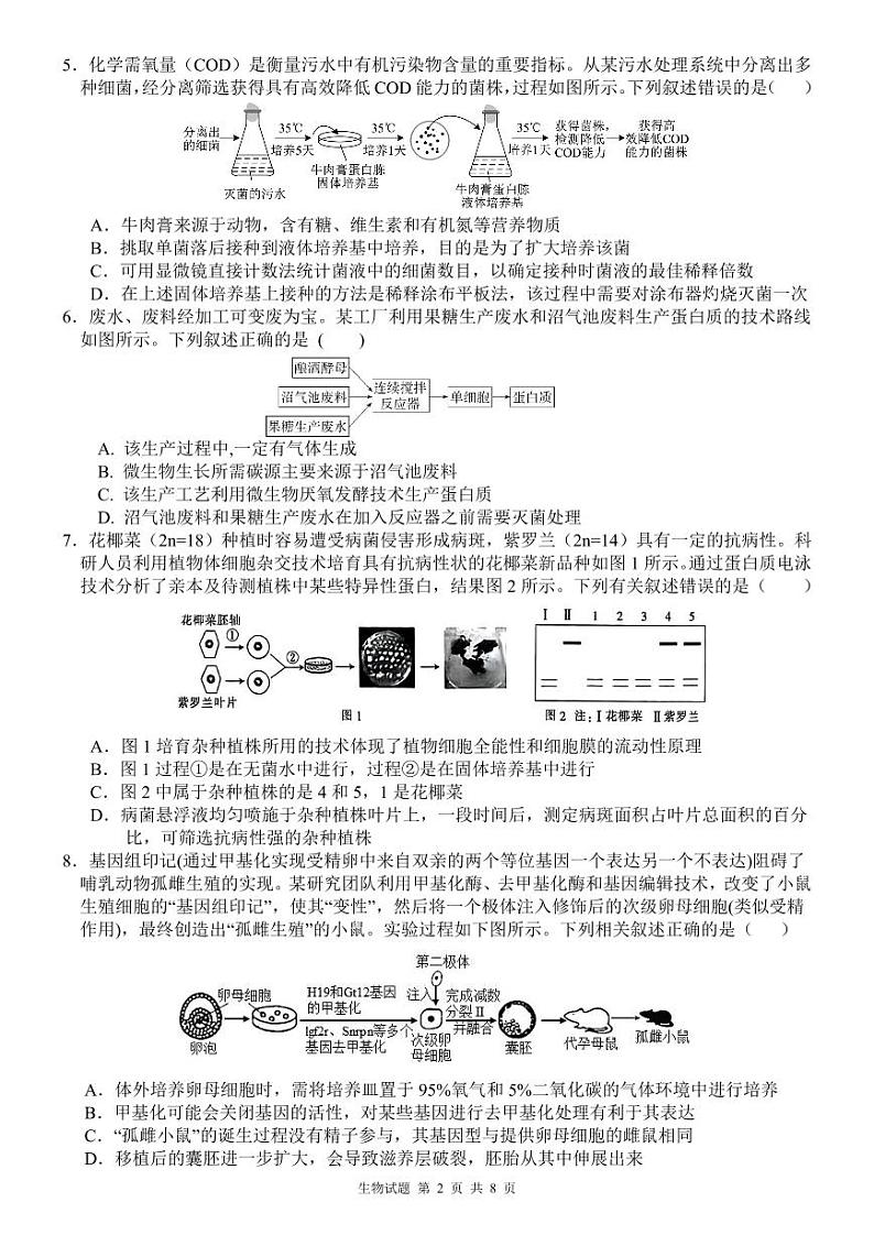 山东省淄博市高青县第一中学2023-2024学年高二下学期期中考试生物试题02