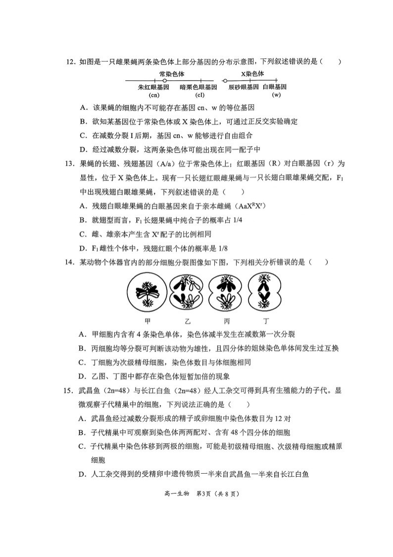 四川省凉山州西昌市2023-2024学年高一下学期期中检测生物试题03