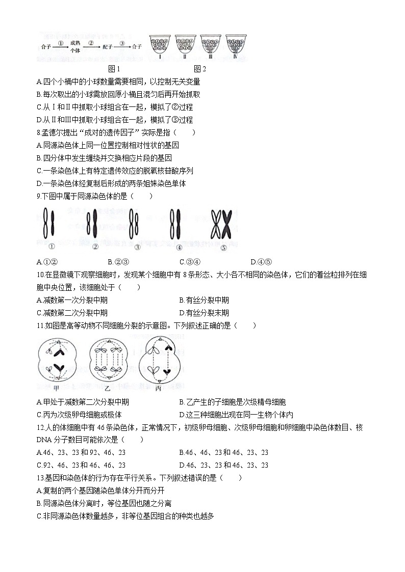 山西省太原市2023-2024学年高一下学期4月期中生物试题02