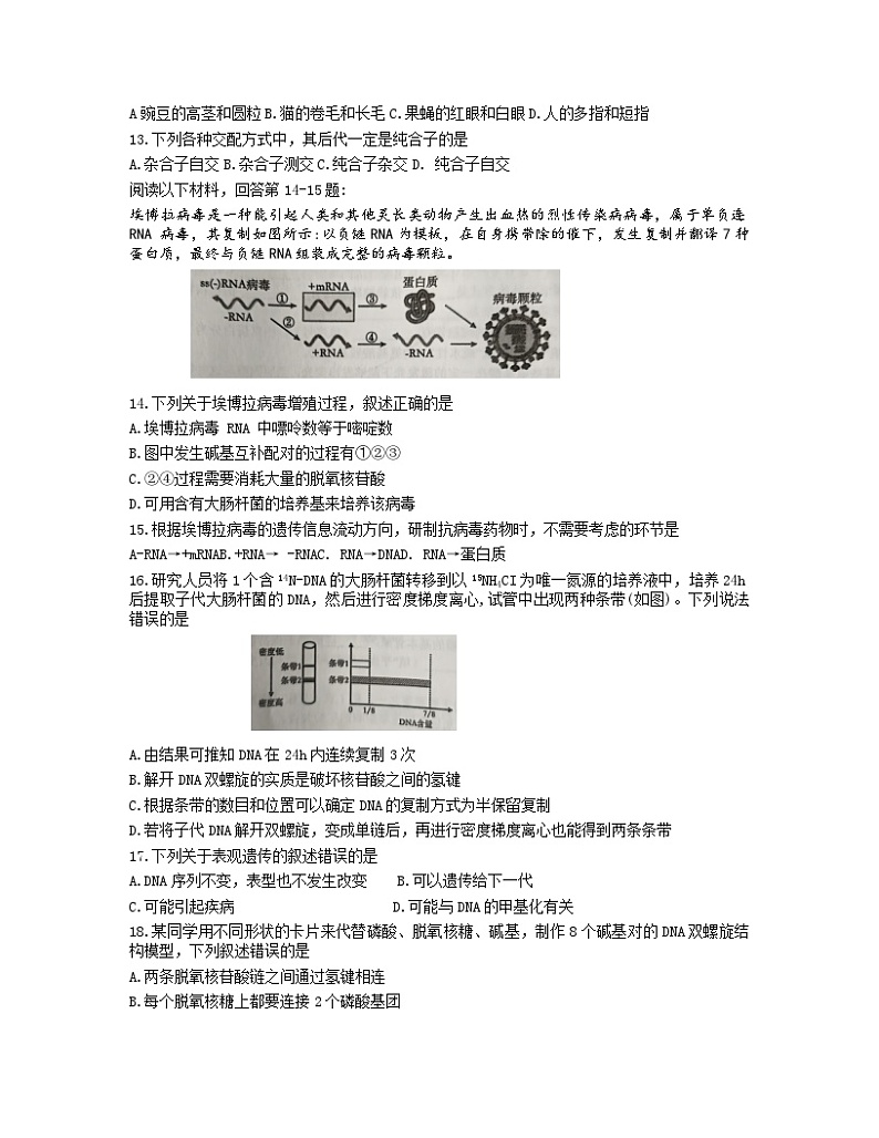 浙江省七彩阳光新高考研究联盟2023-2024学年高一下学期期中联考生物试题03