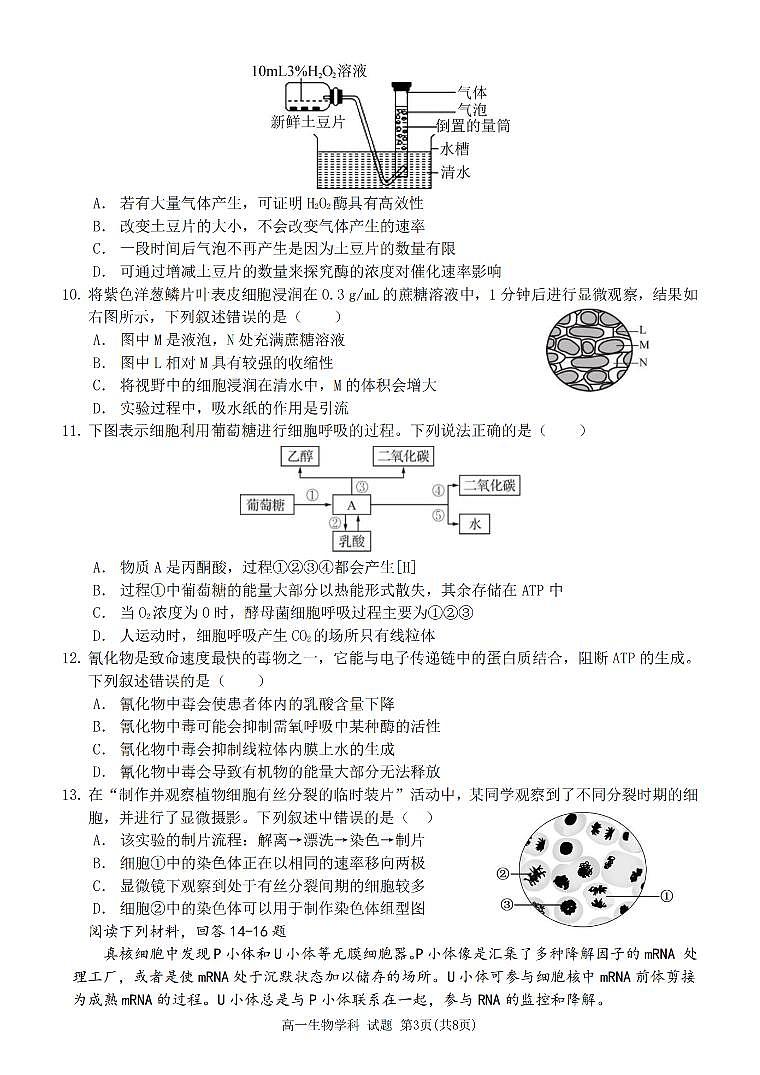 浙江省山海协作体2023-2024学年高一下学期4月期中生物试题03