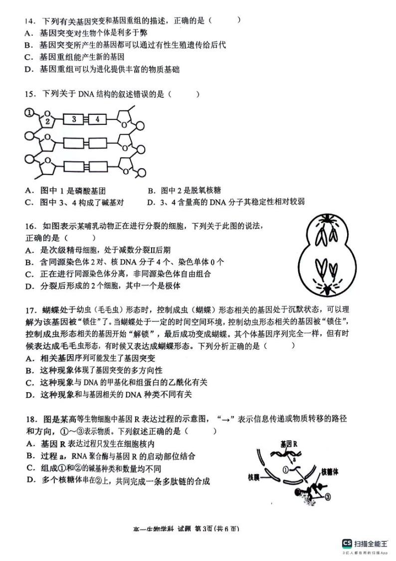 浙江省台州市十校联盟2023-2024学年高一下学期期中联考生物试题03