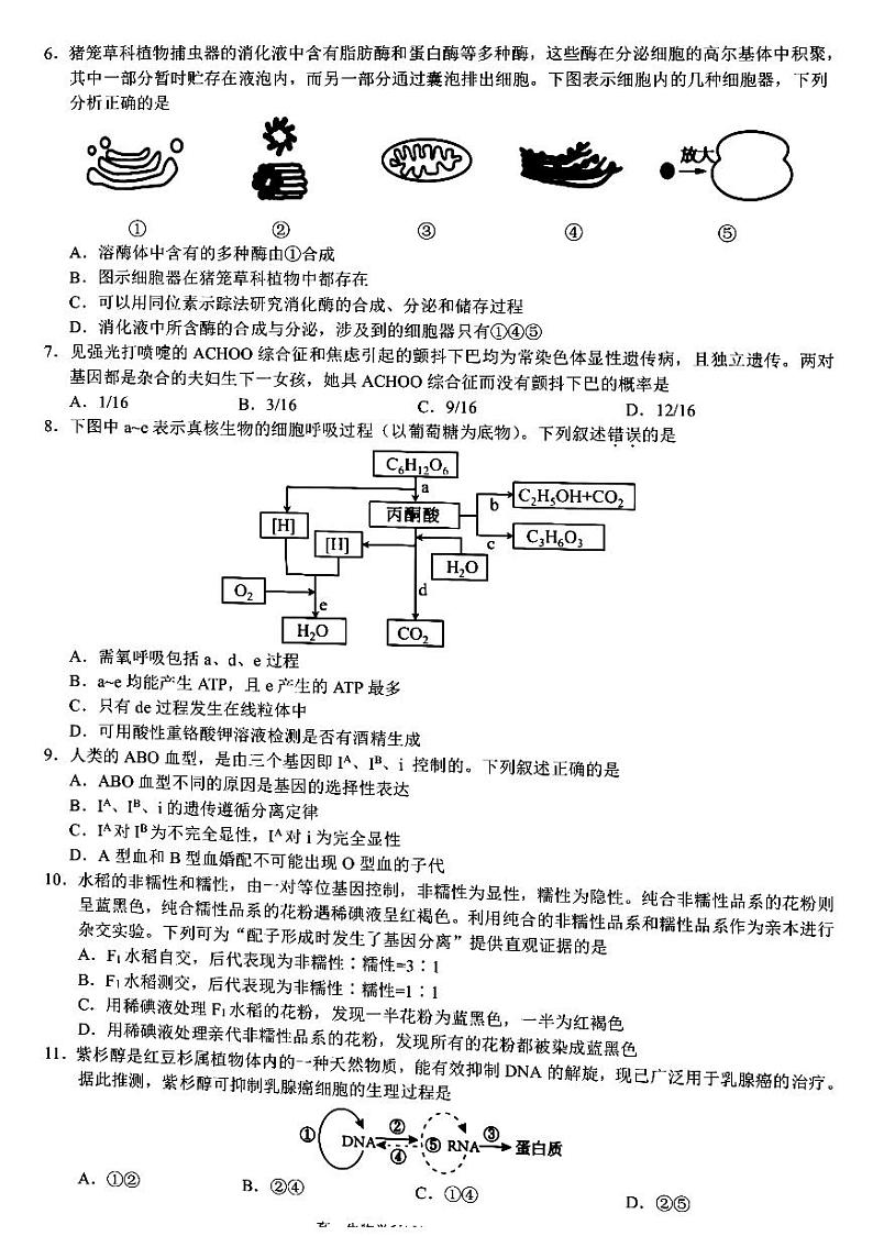 浙江省浙江省9+1高中联盟2023-2024学年高一下学期4月期中生物试题第2页