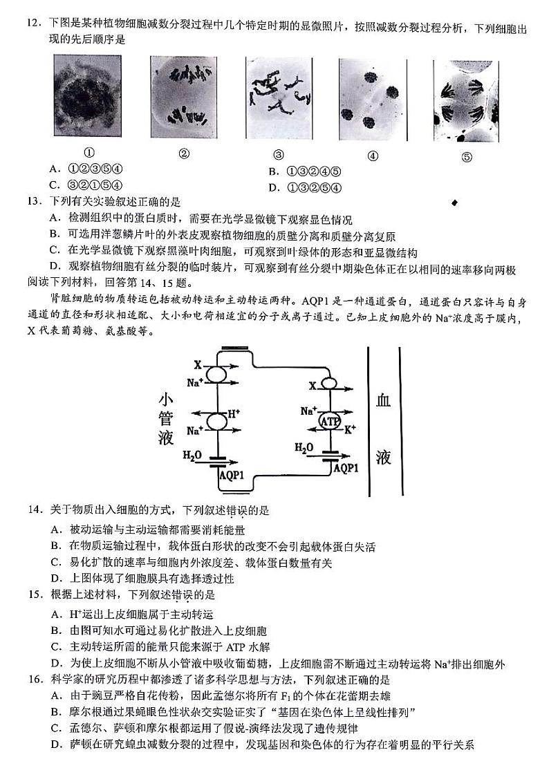 浙江省浙江省9+1高中联盟2023-2024学年高一下学期4月期中生物试题第3页